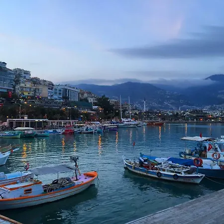 Daire Апартаменты В Центре Алании Alanya